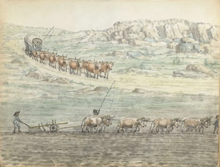 Framed Print : Ox-Span for Covered Wagon and Plow, by Jan Brandes, 1806, Dutch Colonial painting, drawing, paper pencil, brush Framed Print : Ox-Span for Covered Wagon and Plow, by Jan Brandes, 1806, Dutch Colonial painting, drawing, paper pencil, brush
