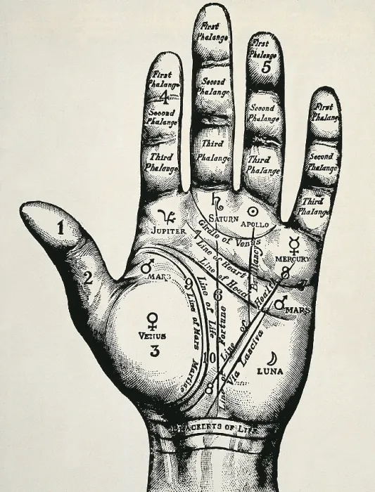 Framed Print : Palmistry. Planetary and zodiacal diagram of the left hand. Engraving. - Coleccion Gasca / Iberfoto / Everett Collection (144559)**US SALES ONLY**