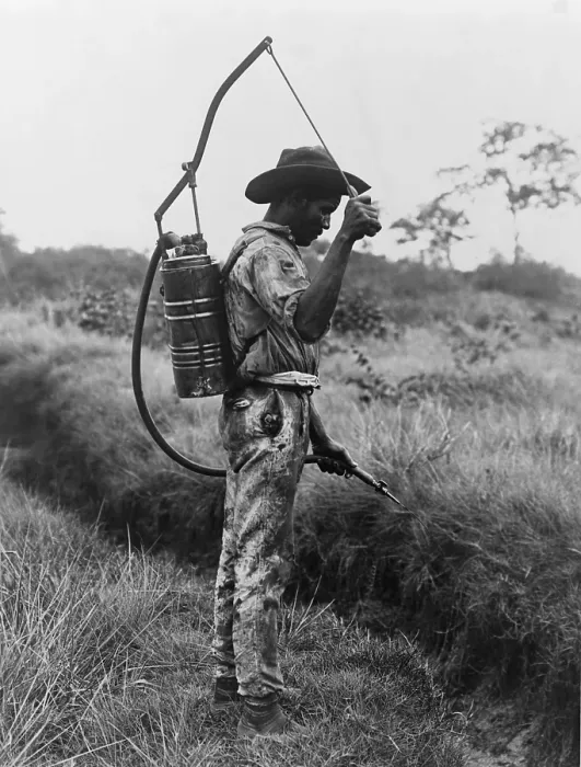 Framed Print : Panamanian man with a canister on his back spraying oil on breeding places of mosquitoes in Panama
