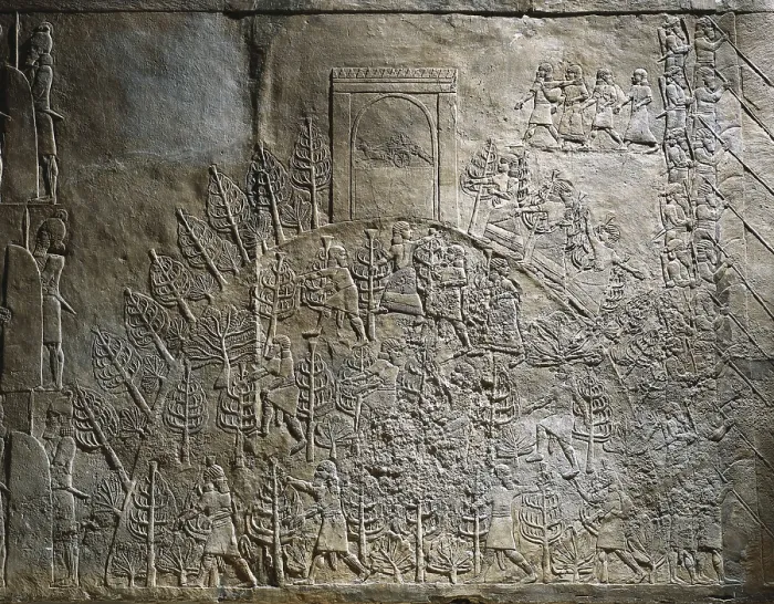 Framed Print : Detail of a panel. Gardeners working in the palace gardens. Assyrian art. Relief on rock. UNITED KINGDOM. London. The British Museum. Proc: IRAQ. Kuyunjik. Nineveh Framed Print : Detail of a panel. Gardeners working in the palace gardens. Assyrian art. Relief on rock. UNITED KINGDOM. London. The British Museum. Proc: IRAQ. Kuyunjik. Nineveh