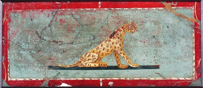 Framed Print : Panther, by unknown artist, 1-37, 1st Century A.D. ripped fresco, 21 x 47 cm - Italy, Campania, Naples, National Archaeological Museum, Room LXVIII, inv. 8650 Framed Print : Panther, by unknown artist, 1-37, 1st Century A.D. ripped fresco, 21 x 47 cm - Italy, Campania, Naples, National Archaeological Museum, Room LXVIII, inv. 8650