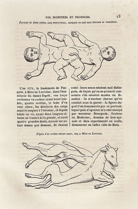 Framed Print : PARE, Ambroise (1509-1590). 'Des Monstres et Prodiges' (On monsters and marvels), included in an edition of the 'Complete works' executed in Paris (1841) Framed Print : PARE, Ambroise (1509-1590). 'Des Monstres et Prodiges' (On monsters and marvels), included in an edition of the 'Complete works' executed in Paris (1841)