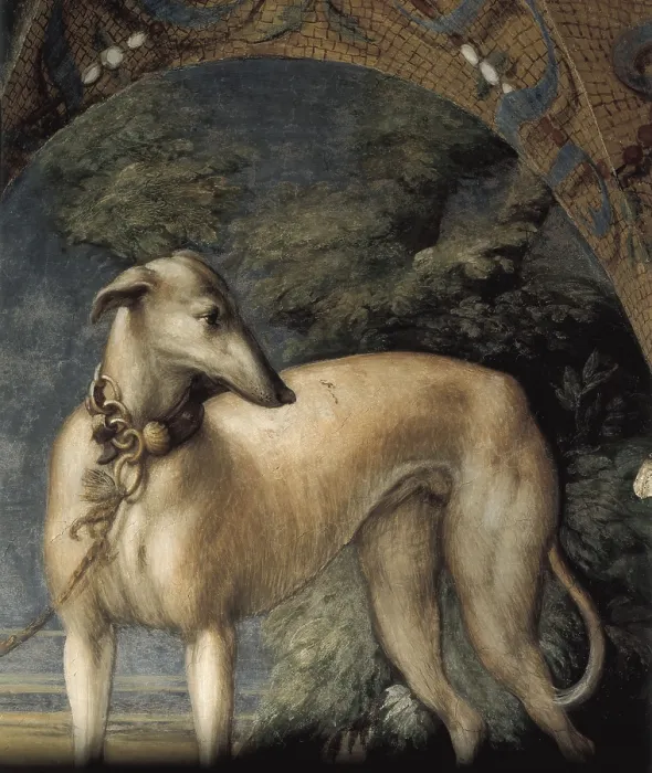 Framed Print : PARMIGIANINOFrancesco Mazzolacalled Il (1503-1540). Legend of Artemis and Actaeon. 1523. ITALY. Fontanellato. La Rocca. Detail. Greyhound. Renaissance art. Cinquecento. Fresco Framed Print : PARMIGIANINOFrancesco Mazzolacalled Il (1503-1540). Legend of Artemis and Actaeon. 1523. ITALY. Fontanellato. La Rocca. Detail. Greyhound. Renaissance art. Cinquecento. Fresco