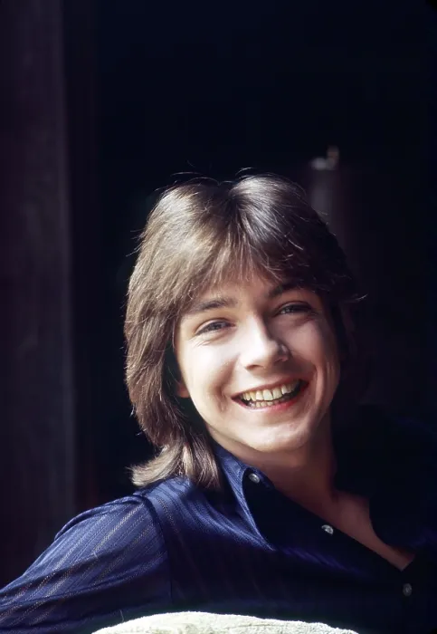 Framed Print : THE PARTRIDGE FAMILY, David Cassidy, (1971), 1970-1974 Framed Print : THE PARTRIDGE FAMILY, David Cassidy, (1971), 1970-1974