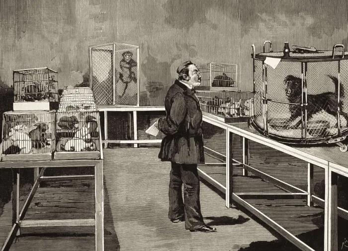Framed Print : PASTEUR, Louis (1822-1895). Pasteur in his laboratory observing the effects of the inoculation of the 'rabies virus' in his experiments on hydrophobia (1884). Etching Framed Print : PASTEUR, Louis (1822-1895). Pasteur in his laboratory observing the effects of the inoculation of the 'rabies virus' in his experiments on hydrophobia (1884). Etching