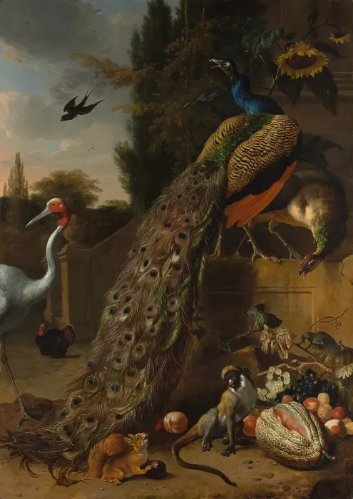 Framed Print : PEACOCKS, by Melchior d Hondecoeter, 1683, Dutch painting, oil on canvas. Exotic birds, a monkey and squirrel populate cultivated landscape with architecture