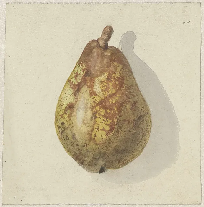 Framed Print : Pear, by Gerardina Jacoba van de Sande Bakhuyzen, c.1850-80, Dutch watercolor painting (BSLOC_2016_2_279)