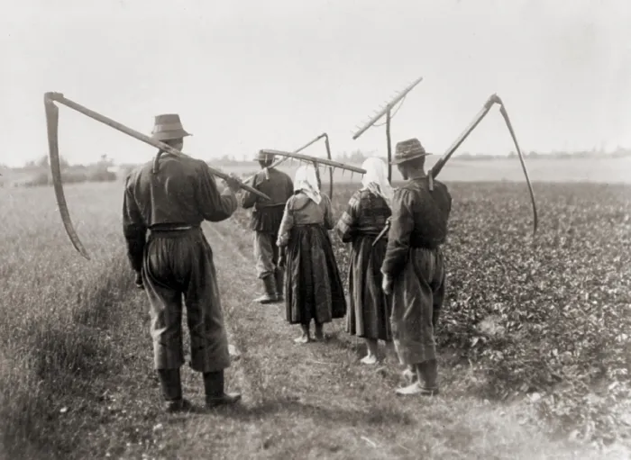 Framed Print : Five peasant farmers on their way to the fields to harvest grain or hay in Lowice, Poland, 1919-1921