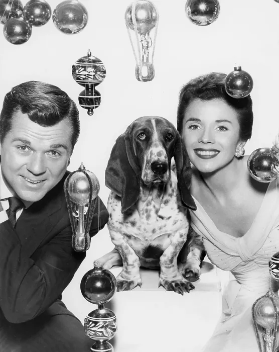Framed Print : THE PEOPLE'S CHOICE, Jackie Cooper, Patricia Breslin, Cleo, the dog, 1955-58