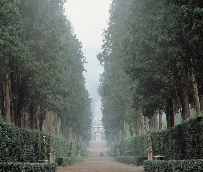 Framed Print : Pericoli Niccol known as Tribolo, Ammannati Bartolomeo, Buontalenti Bernardo, The walk in the Boboli gardens know as the Viottolone, 16th Century, Italy, Tuscany, Florence