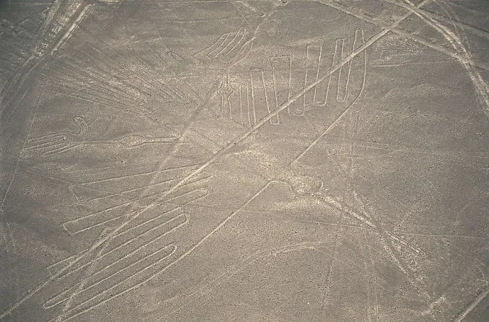 Framed Print : PERU. ICA. Palpa-Nazca Lines. Ceremonial and ritual geoglyphs (200-700 AD). Detail of condor. Nazca art. AISA / Everett Collection**US SALES ONLY** Framed Print : PERU. ICA. Palpa-Nazca Lines. Ceremonial and ritual geoglyphs (200-700 AD). Detail of condor. Nazca art. AISA / Everett Collection**US SALES ONLY**