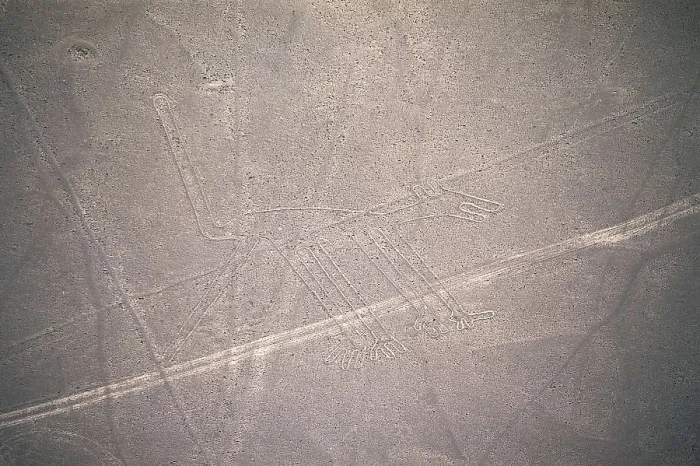 Framed Print : PERU. ICA. Palpa-Nazca Lines. Ceremonial and ritual geoglyphs (200-700 AD). Detail of dog. Nazca art. AISA / Everett Collection**US SALES ONLY**