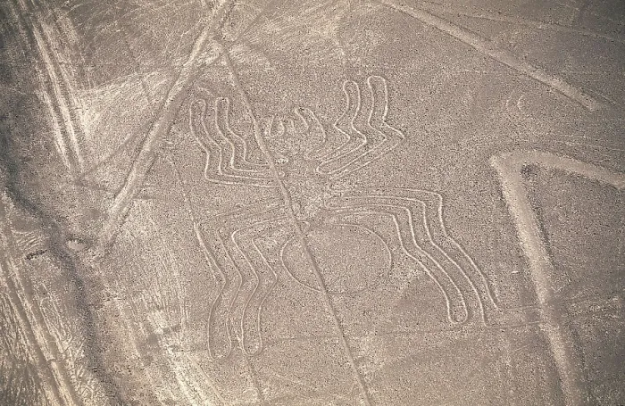 Framed Print : PERU. ICA. Palpa-Nazca Lines. Ceremonial and ritual geoglyphs (200-700 AD). Detail of spider. Nazca art. AISA / Everett Collection**US SALES ONLY**