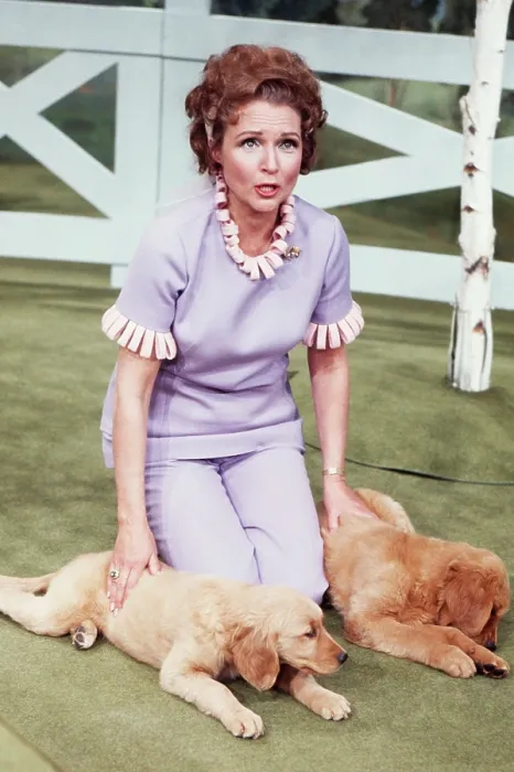Framed Print : THE PET SET, (aka BETTY WHITE'S PET SET), Betty White (host), with puppies, (Season 1, episode 125, aired August 10, 1971), 1971-1992