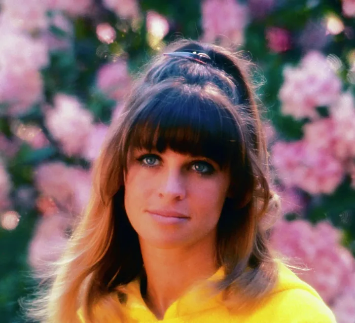 Framed Print : PETULIA, Julie Christie, 1968 Framed Print : PETULIA, Julie Christie, 1968