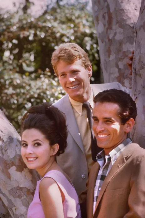 Framed Print : PEYTON PLACE, Barbara Parkins, Ryan O'Neal, James Douglas, 1964-1969 Framed Print : PEYTON PLACE, Barbara Parkins, Ryan O'Neal, James Douglas, 1964-1969