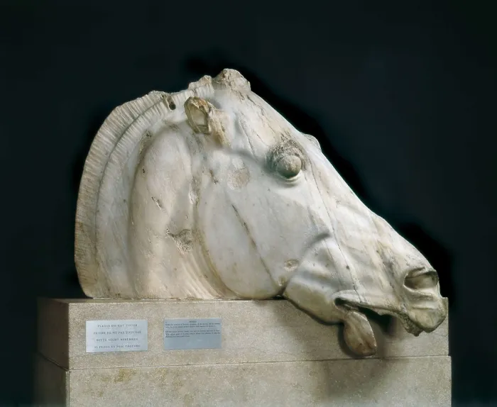 Framed Print : PHIDIAS (490 -431 BC). Head of a horse of Selene. 447 - 432 BC. Belonging to the frieze. Classical Greek art. Sculpture on marble. UNITED KINGDOM. London. The British Museum Framed Print : PHIDIAS (490 -431 BC). Head of a horse of Selene. 447 - 432 BC. Belonging to the frieze. Classical Greek art. Sculpture on marble. UNITED KINGDOM. London. The British Museum