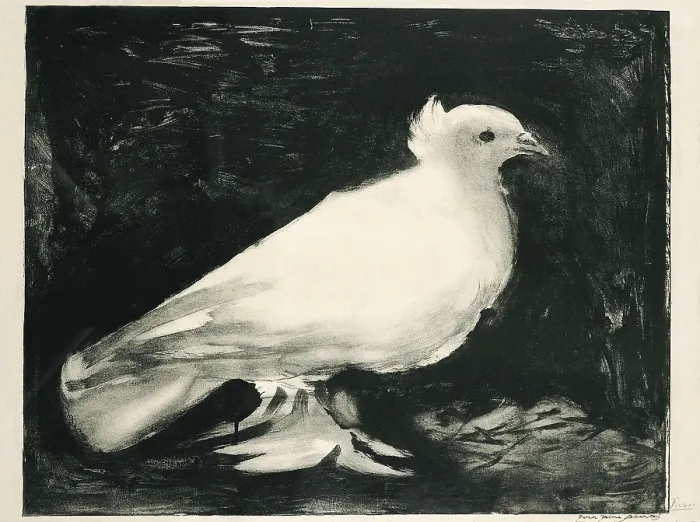 Framed Print : Picasso, Pablo (1881-1973). The Dove. 1949. Litography. SPAIN. Barcelona. Picasso Museum. AISA / Everett Collection - Image has fine art copyright