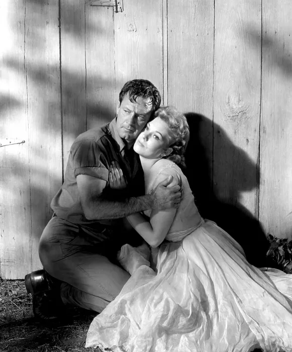 Framed Print : PICNIC, William Holden, Kim Novak, 1955