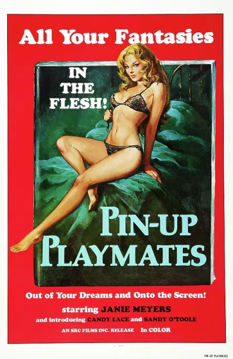 Framed Print : PIN-UP PLAYMATES, (aka VACATION TEMPTATIONS), US poster, Janie Meyers, 1972