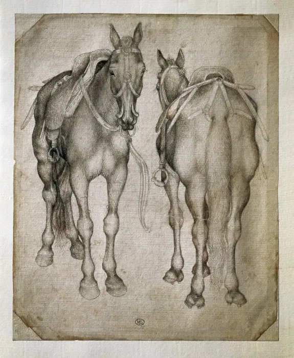 Framed Print : PISANELLO, Antonio di Puccio Pisano, called (1395-1455). Study of Two Horses. beg. 15th c. Skecht. Renaissance art. Quattrocento. Drawing. FRANCE. Paris. Louvre Museum