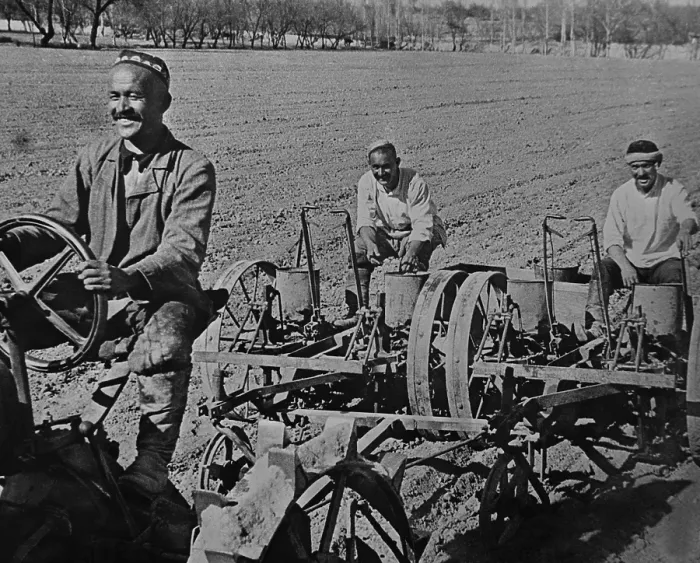 Framed Print : Planting cotton on the Navai collective farm, near Tashkent, Uzbekistan, USSR. Ca. 1935-40. (BSLOC_2015_2_257)