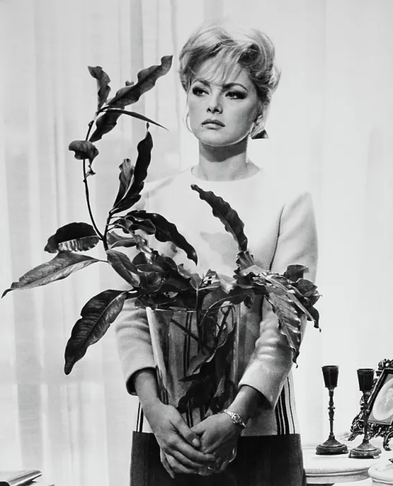 Framed Print : ANYONE CAN PLAY, (aka LE DOLCI SIGNORE), Virna Lisi, 1968