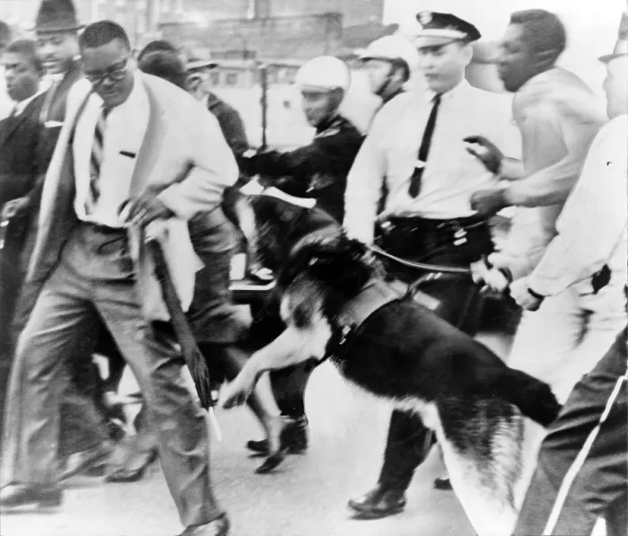 Framed Print : Police dog attacking an African American man, outside a Jackson, Mississippi, courthouse where civil rights demonstrators were on trial. 1961 Framed Print : Police dog attacking an African American man, outside a Jackson, Mississippi, courthouse where civil rights demonstrators were on trial. 1961