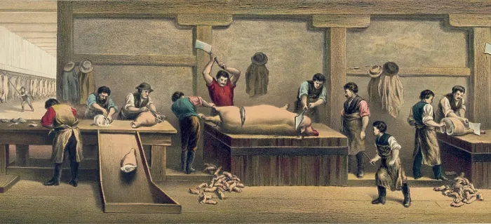 Framed Print : Pork packing house in Cincinnati, Ohio, 1873. Scene shows butchering of hogs, cutting them into hams, and removing the feet and heads