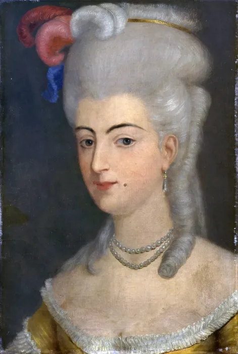 Framed Print : Portrait of the Marquis Pallavicini Durini, by Alessandro Durini, 19th Century, oil on canvas - Italy, Lombardy, Milan, Castello Sforzesco, Civic Collection of Ancient Art