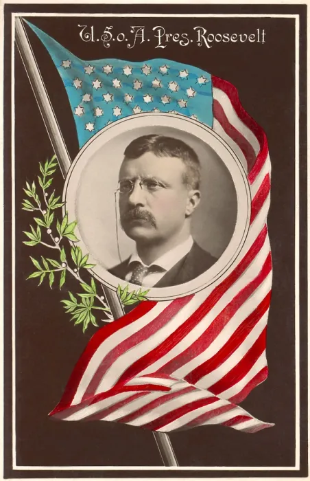 Framed Print : Portrait of President Theodore Roosevelt surrounded by the U.S. flag and a laurel branch, 1907 (BSLOC_2017_6_44) Framed Print : Portrait of President Theodore Roosevelt surrounded by the U.S. flag and a laurel branch, 1907 (BSLOC_2017_6_44)