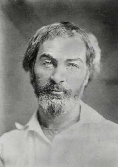Framed Print : Portrait of Walt Whitman, American poet, from a daguerreotype taken between 1850 and 1855 (BSLOC_2018_4_43)