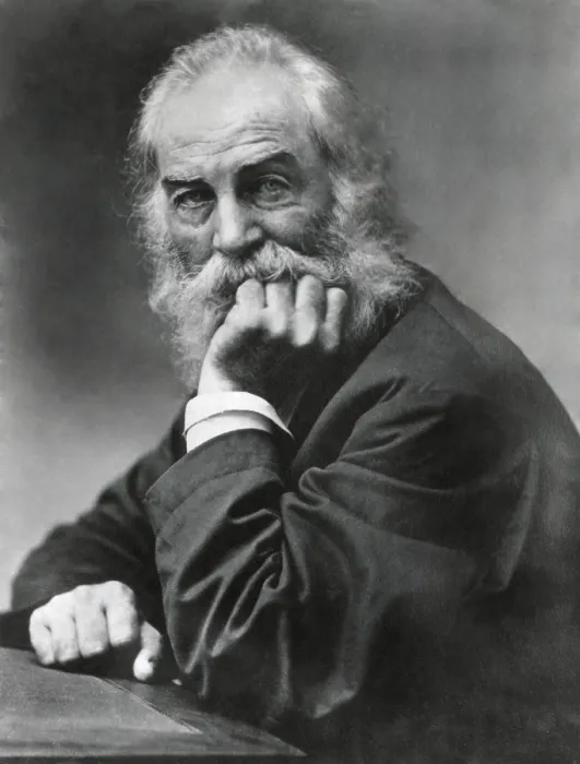 Framed Print : Portrait of Walt Whitman, American poet, with hand on chin, 1869. Photo by Frank Pearsall (BSLOC_2018_4_46)