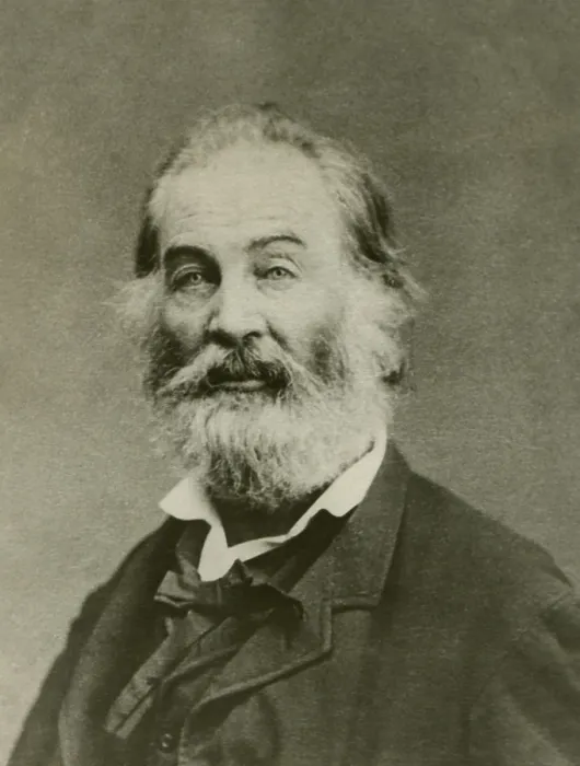 Framed Print : Portrait of Walt Whitman, American poet, c. 1860s (BSLOC_2018_4_45) Framed Print : Portrait of Walt Whitman, American poet, c. 1860s (BSLOC_2018_4_45)