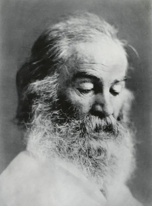 Framed Print : Portrait of Walt Whitman, American poet, c. 1860s (BSLOC_2018_4_44)