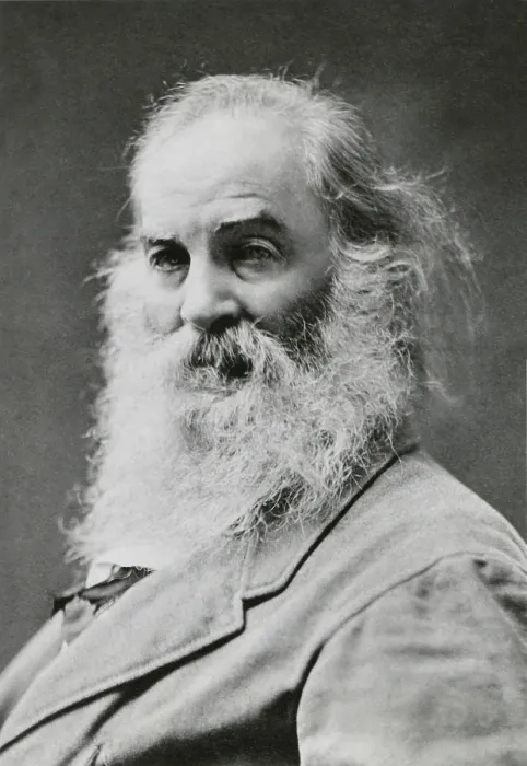 Framed Print : Portrait of Walt Whitman, American poet, c. 1870 (BSLOC_2018_4_47)