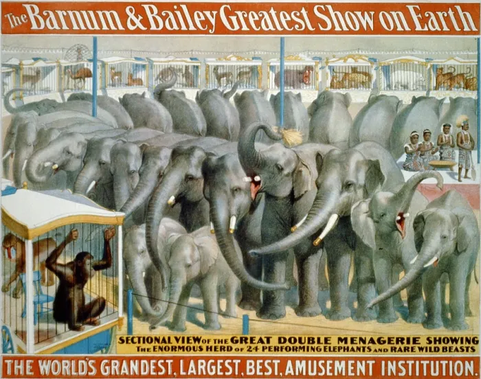 Framed Print : Poster for Barnum and Bailey circus showing performing elephants and animals in cages