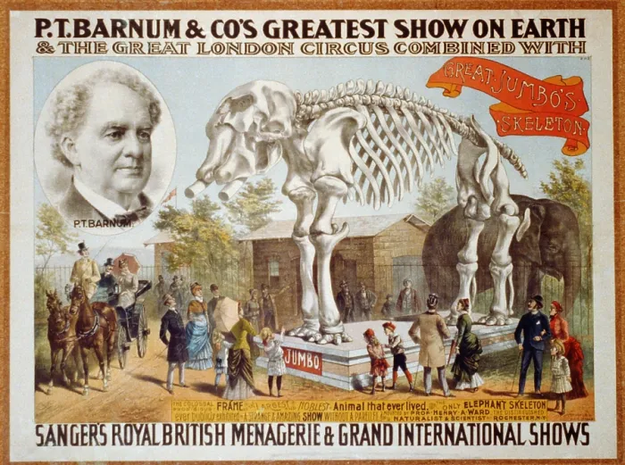 Framed Print : Poster for P.T. Barnum & Circus featuring the skeleton of Jumbo the Elephant, who died four years earlier, when run over by a locomotive. 1885