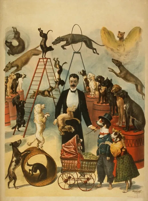 Framed Print : Poster for a trained dog act, probably one that performed in Vaudeville as an independent act. 1899 Framed Print : Poster for a trained dog act, probably one that performed in Vaudeville as an independent act. 1899