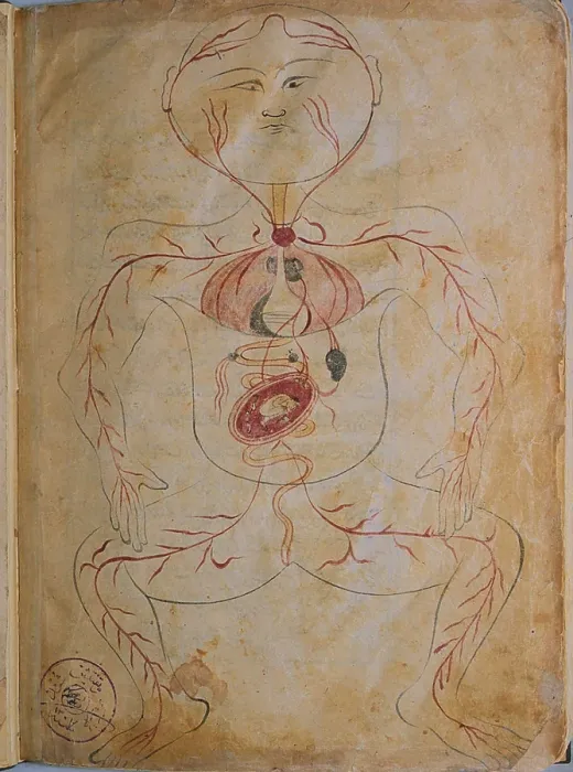 Framed Print : A pregnant woman, from MANSUR'S ANATOMY, authored by the Persian scholar and physician, Mansur ibn Ilyas (ca. 1370-1423) Framed Print : A pregnant woman, from MANSUR'S ANATOMY, authored by the Persian scholar and physician, Mansur ibn Ilyas (ca. 1370-1423)