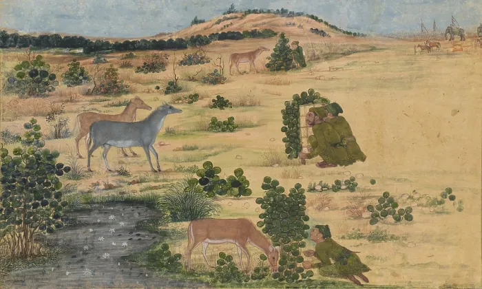 Framed Print : PREPARATIONS FOR A HUNT, Indian, 1670-80s, painting, opaque watercolor on paper. Four imperial huntsmen shelter behind screens as four nilgais, Indian blue bulls, graze nearby