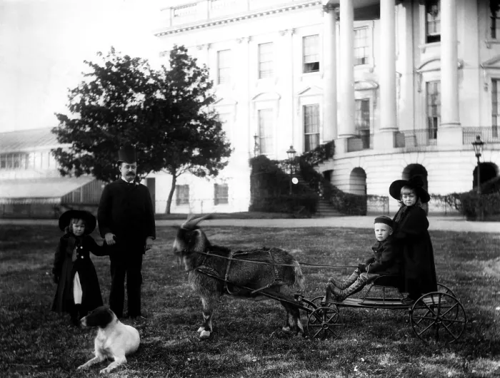 Framed Print : President Benjamin Harrison's son, Russell watches the grandchildren on the White House grounds, ca. 1890s. Courtesy: CSU Archives / Everett Collection Framed Print : President Benjamin Harrison's son, Russell watches the grandchildren on the White House grounds, ca. 1890s. Courtesy: CSU Archives / Everett Collection