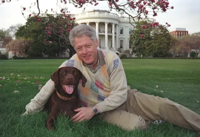 Framed Print : President Bill Clinton with his a male chocolate-colored Labrador Retriever, Buddy. Clinton acquired Buddy as a 3-month-old puppy in Dec