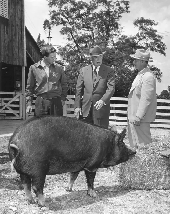 Framed Print : President Eisenhower presented with a Berkshire Gilt pig by a 4-H Club achievement award winner. Gettysburg, PA. June 3, 1955. - (BSLOC_2014_16_176)