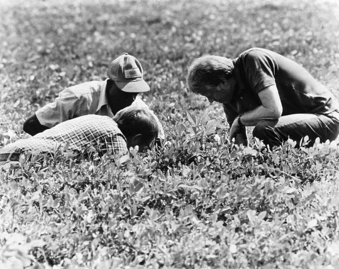 Framed Print : President Jimmy Carter at his peanut farm in Plains, Georgia, 1977. Courtesy: CSU Archives / Everett Collection
