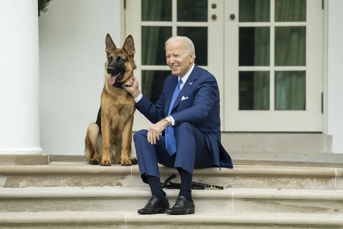 Framed Print : President Joe Biden with his dog, Commander, on National Pet Day, April 8, 2022. Commander secedes two previous White House dogs, Champ and Major