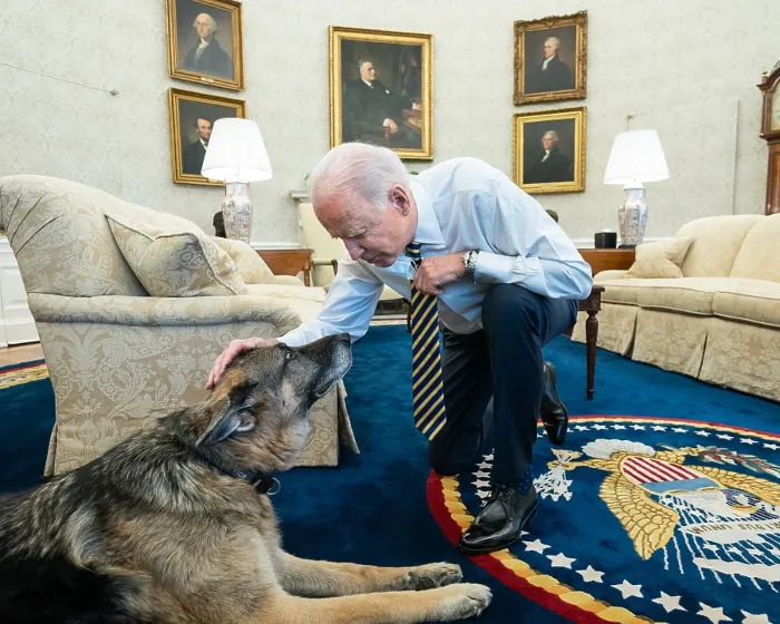Framed Print : President Joe Biden pets the older and calmer family dog, Champ, in the Oval Office, Feb. 24, 2021