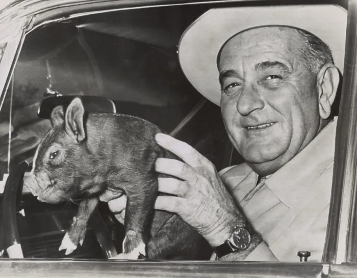 Framed Print : President Lyndon Johnson holds a squirming baby pig for photographers at the LBJ Ranch, March 28, 1964