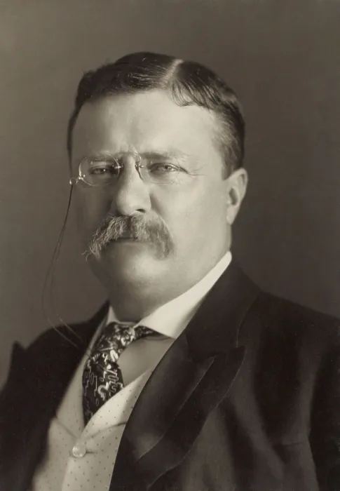 Framed Print : President Theodore Roosevelt, 1904 portrait by Pach Brothers of New York (BSLOC_2017_6_46)