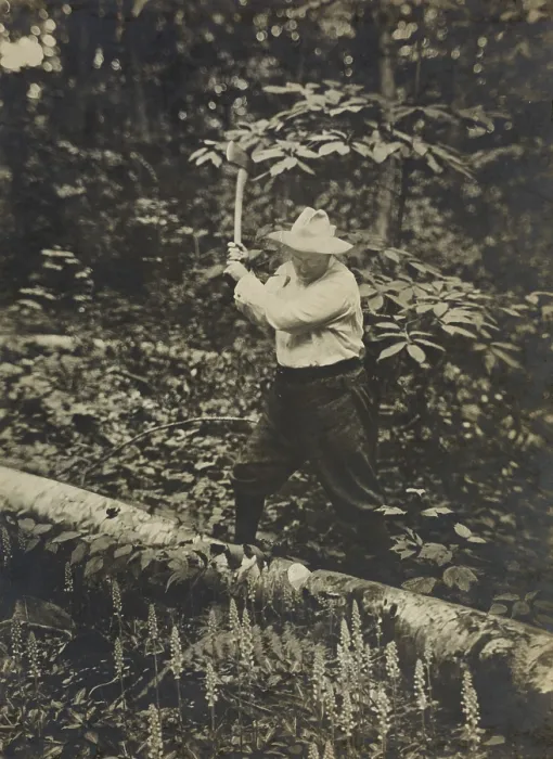 Framed Print : President Theodore Roosevelt chopping, a fallen tree with an axe, summer 1905 Framed Print : President Theodore Roosevelt chopping, a fallen tree with an axe, summer 1905